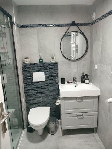une salle de bain avec toilettes, lavabo et miroir dans l'établissement Le Petit Cocon - Parking privé - Lyon Sud, à Vénissieux
