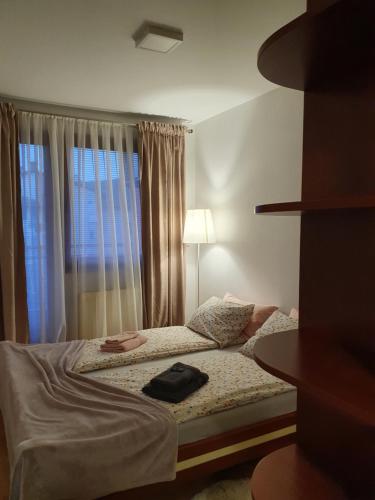 - une chambre avec un lit et une fenêtre dans l'établissement Apartman Basic Doboj, à Doboj