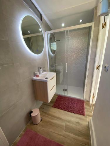 une salle de bain avec un lavabo et une douche avec un miroir dans l'établissement Maison bord de lac de charmes, à Bannes