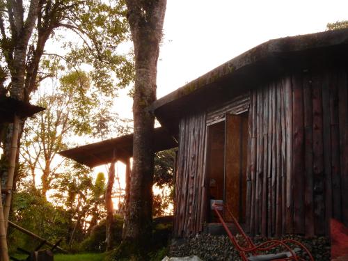 a small wooden cabin with a tree in front of it at EcoRoundHouse in Filandia