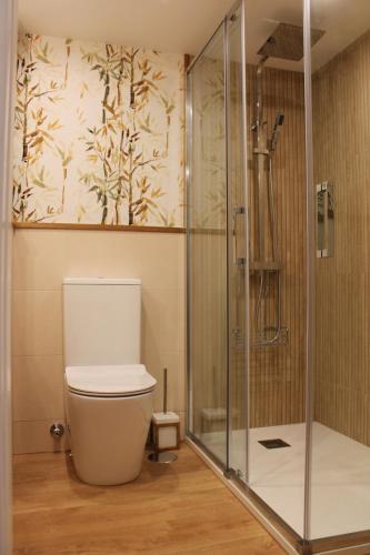 a bathroom with a toilet and a glass shower at AD Loft apartment, Centro Cambados in Cambados