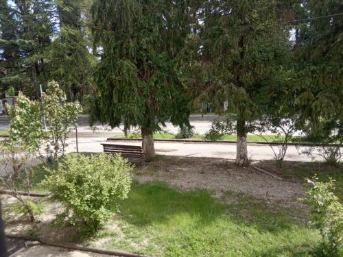 a park with a bench under two trees at Квартира Гудоу in Gudauta