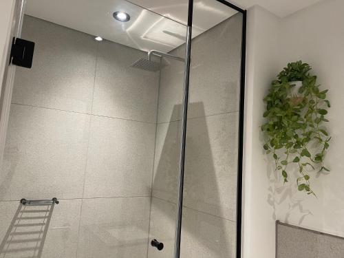 a shower with a glass door and a plant at Bridgewater one luxury Apartment in Cape Town