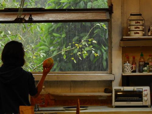 a woman is looking out of a window with an apple at EcoRoundHouse in Filandia