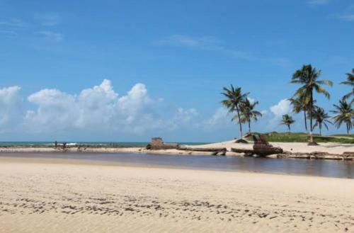a sandy beach with palm trees and the ocean at Vilamar in Tibau do Sul