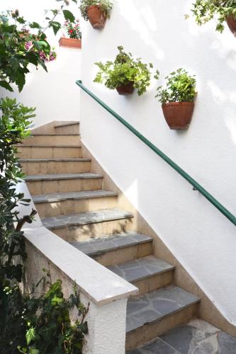a staircase with potted plants on the wall at Luxury Spalato Garden in Split