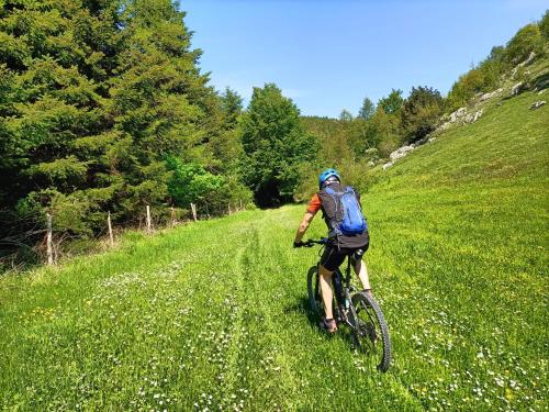 Gallery image of Bed & Bike Frasassi in Falcioni