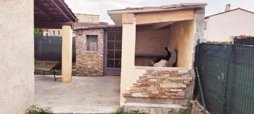 格雷烏萊班的住宿－L'agréable maison du Verdon，坐在建筑物窗户上的猫