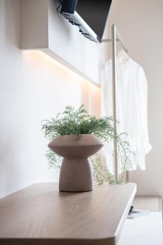 a plant in a pot sitting on a table at Esperides Beach Hotel Apartments in Stalos