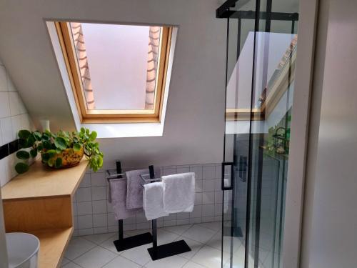 La salle de bains est pourvue d'une douche en verre et d'un lavabo. dans l'établissement Appartement B&B Pandhouse, à Oud-Beijerland