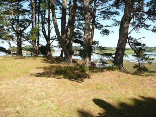 a group of trees sitting next to a body of water at Villa in Le Faou with Panoramic Sea Views in Hanvec