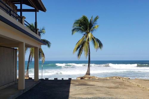 a palm tree on the beach next to a house at Yaeliz Front Beach in Aguada