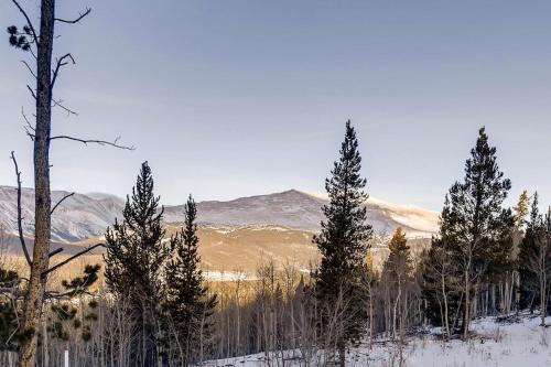 a group of trees in the snow with mountains in the background at Amazing Private Luxury Home with Stunning Panoramic Views - The Timbers at Glacier Ridge in Fairplay