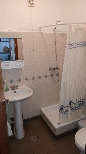 baño con lavabo y cortina de ducha en Recanto da Luz, en Luz