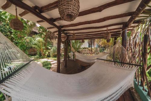 a couple of hammocks in a garden at Hotel Villas Tiburon Adults Only in Holbox Island