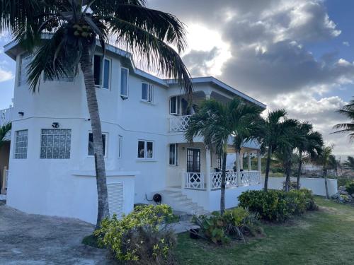 a white house with palm trees in front of it at ‘JASPER’ Private Room with shared bathroom in Saint Philip