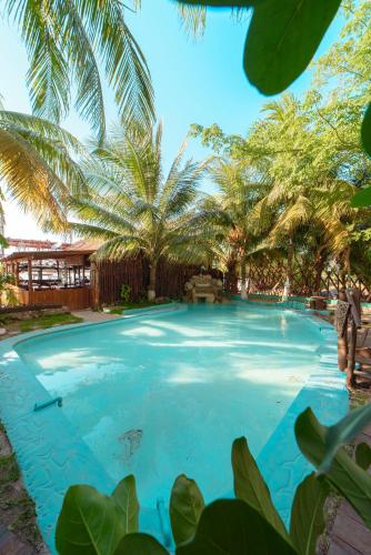 a large swimming pool with palm trees in the background at Hotel Villas Tiburon Adults Only in Holbox Island