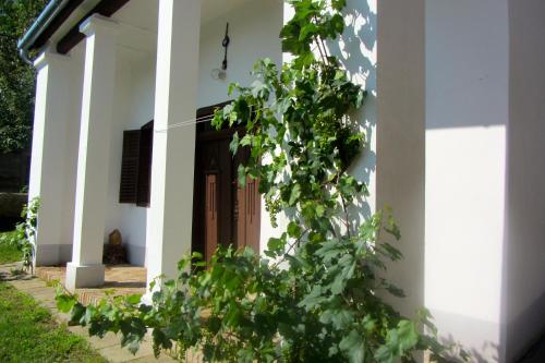 Un jardín fuera de Akác Ház