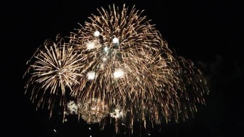 a firework display in the sky at night at Toyoko Inn Gumma Isesaki Ekimae in Isesaki