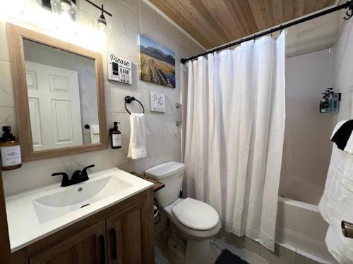 ein Bad mit einem WC, einem Waschbecken und einer Dusche in der Unterkunft Aurora Ridge Cabin in Fairbanks