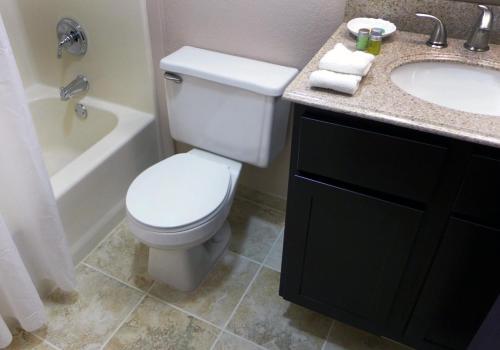 a bathroom with a toilet and a sink and a tub at Waterfront Hotel and Marina in Johnsburg