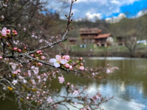 Ecokayan Dilijan Resort Hotel