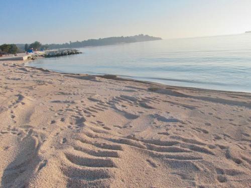 Gallery image of Holiday apartments Petra in Štinjan