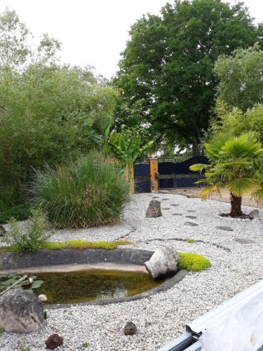 a garden with a pond and rocks and trees at Villa suzana in La Suze-sur-Sarthe