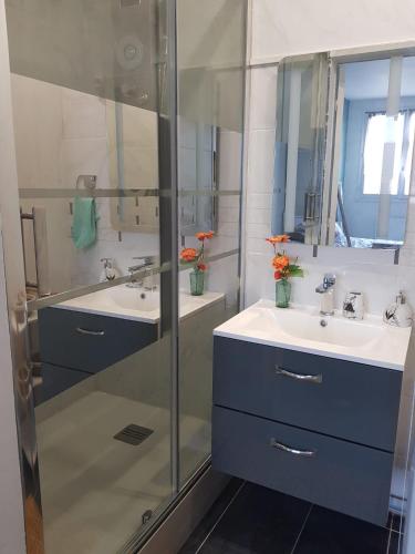 une salle de bain avec deux lavabos et une douche en verre dans l'établissement Superbe appartement de 41m2 en résidence privé, à Fleury-les-Aubrais