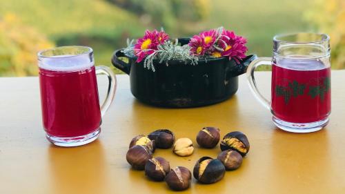two cups of coffee and a pot of flowers and chestnuts at Steirer Haus in Gamlitz