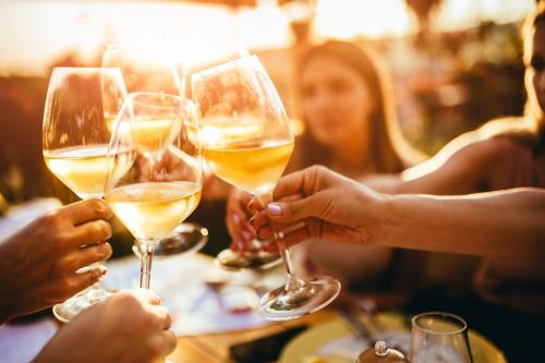 a group of people holding glasses of white wine at eckbergerhof in Gamlitz