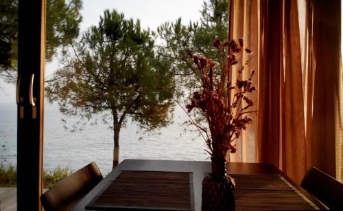 a table with a vase and a tree in a window at iHouse Nea Skioni in Nea Skioni