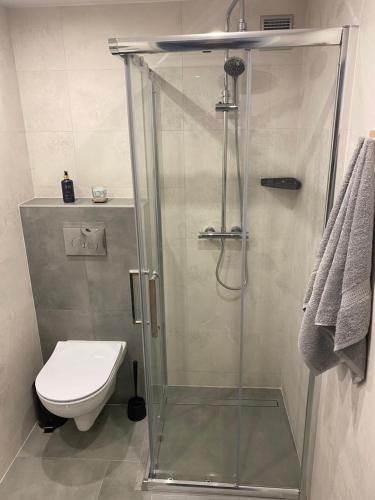 un bagno con doccia e WC di DOMEK FANTAZJA a Spytkowice