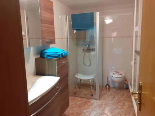 a bathroom with a shower and a sink and a toilet at Ferienwohnung Am Wald in Catterfeld