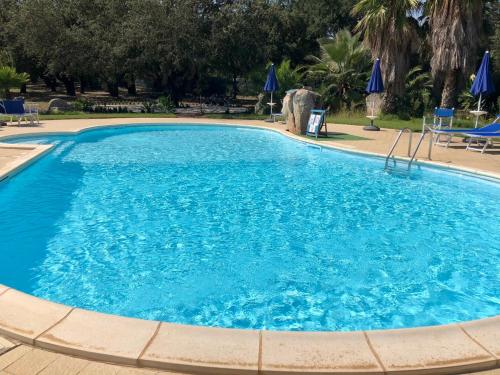 a large blue swimming pool with chairs and umbrellas at Agriturismo Rocce Bianche - Bungalows in Arbus