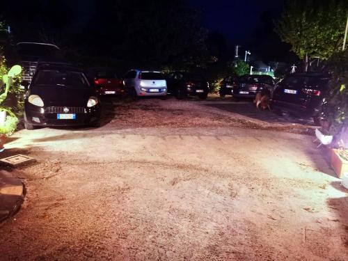 Φωτογραφία από το άλμπουμ του MONIC83 Spiaggia Privata σε Trevignano Romano