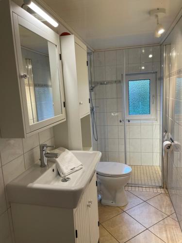 a bathroom with a sink and a toilet and a shower at Landhaus Habernis in Steinberg