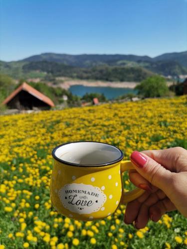 a person holding a yellow cup in a field of flowers at Konaci Zaovljanska jezera in Zaovine