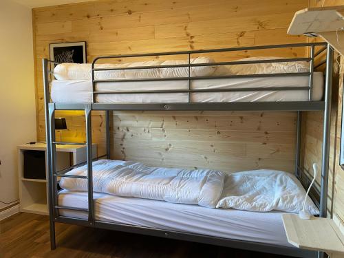 two bunk beds in a room with a wooden wall at Lindenhof Habernis in Steinberg