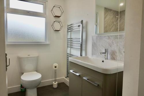 a bathroom with a toilet and a sink and a window at Castle View Chalet by Clonlum Cottages in Newry