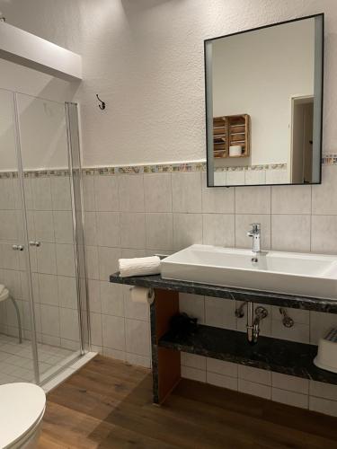 a bathroom with a sink and a mirror at Lindenhof Habernis in Steinberg