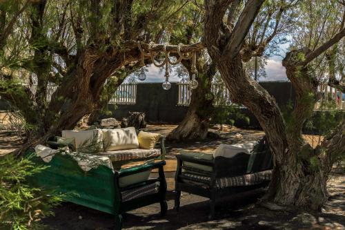 a chair and a couch under a tree at Exi Sea Side Suites in Perissa