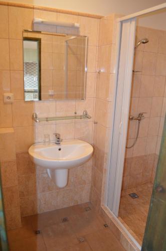 a bathroom with a sink and a shower at Famozclub in Bakov nad Jizerou