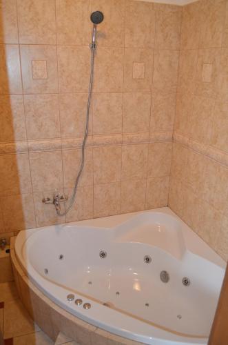 a bath tub in a bathroom with a shower at Famozclub in Bakov nad Jizerou