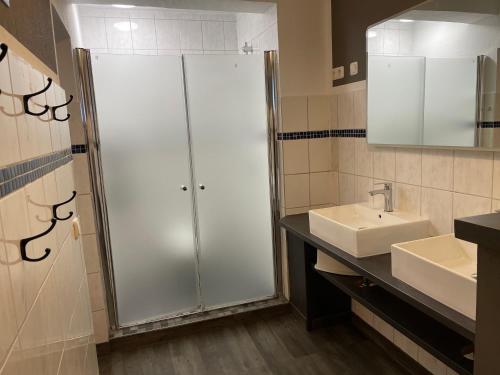 a bathroom with a shower and a sink at Lindenhof Habernis in Steinberg