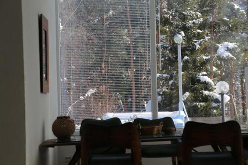 a window with a view of a snow covered tree at Vilas Ambasador Bratin Dol in Bitola