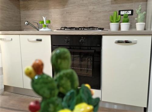 una cucina con forno nero e alcune piante di L'antico borgo a Agrigento