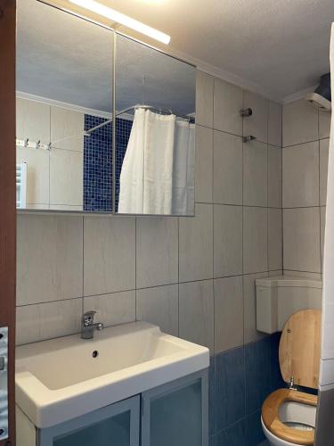 a bathroom with a sink and a toilet and a mirror at Nouvelle Vie Living in Potos