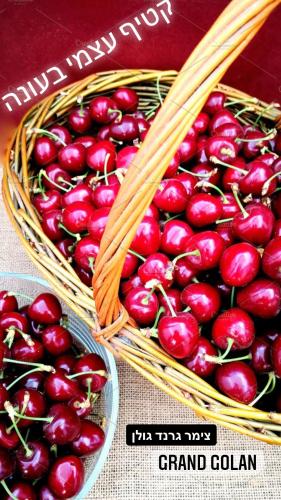 two baskets of cherries sitting on top of a table at Grand Golan in Buq‘ātā