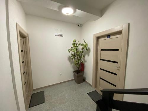 a hallway with a door and a potted plant at Koca Apartmani in Novi Pazar
